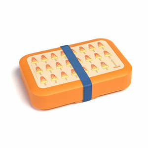 DBP Box na svačinu velký s gumičkou oranžový Nanuk