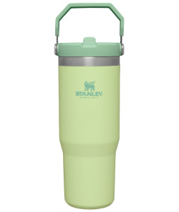 STANLEY Tumbler se slámkou/brčkem 890ml CITRON